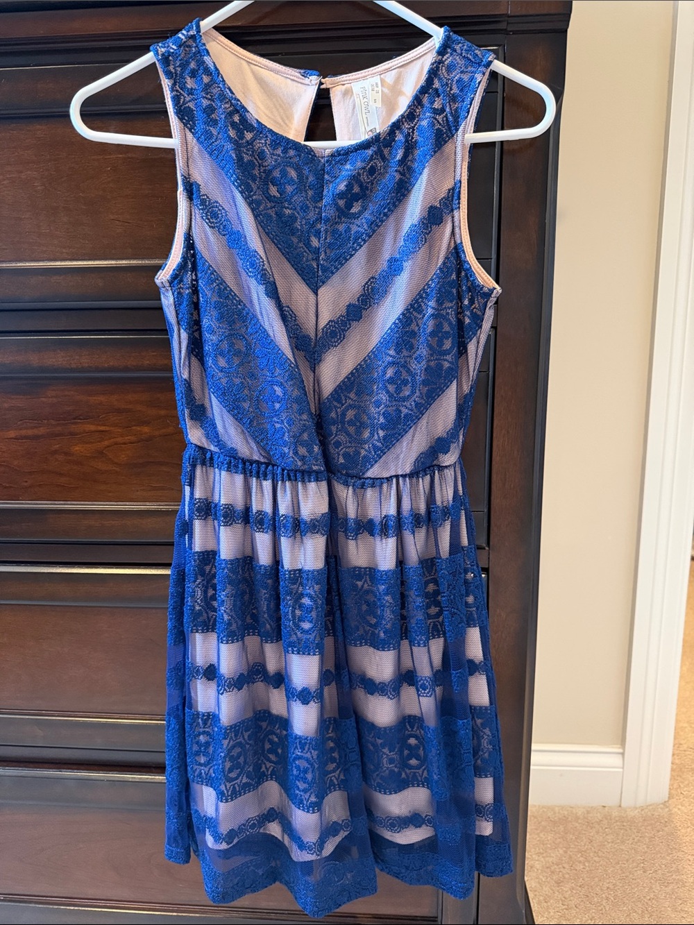Pink Owl Blue Lace Overlay A-Line Dress